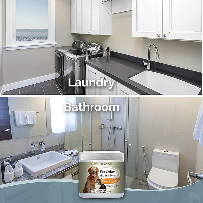 SMELLS BEGONE Air Freshener Pet Odor Absorber Gel - 15 oz, Pack of 2 - Absorbs and Eliminates Odor in Pet Areas, Bathrooms, Cars, & Boats - Made with Essential Oils - Citrus Scent