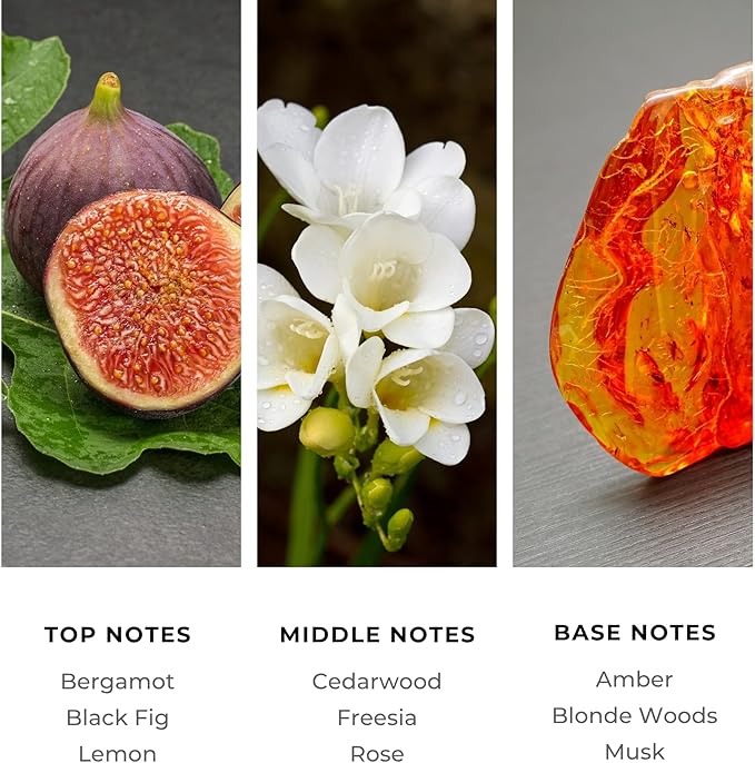 Brilliant Scents Sugar Beach Fragrance Oil 500ml - Premium Diffuser Oil for Home, Office, Hotels - Long Lasting, Plant-Based, Meets IFRA Standards, USA-Made - Fig, Rose, Blonde Woods