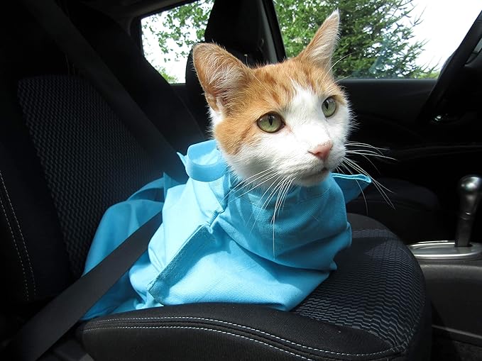 Cat-in-the-Bag Cozy Comfort Carrier - Extra Large Green Pet Carrier and Cat Carrier Soft for Cutting Nails, Vet Visits, Medication Administration, Dental Care, & Travel