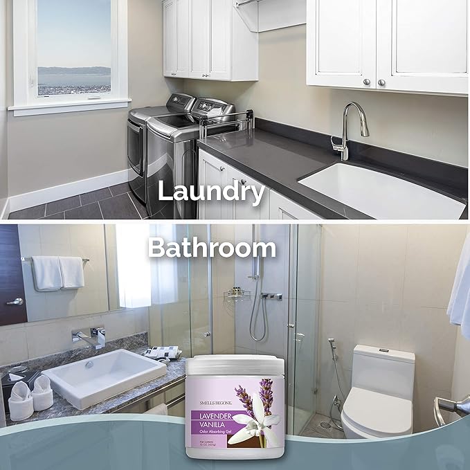 SMELLS BEGONE Air Freshener Odor Absorber Gel - Absorbs Odor from Bathrooms, Cars, Pet Areas, Boats and RVs - Made with Essential Oils - Lavender Vanilla Scent - 15 Ounce