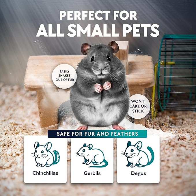 3 LB. Chinchilla Dust Bath Jar - Pure Cleansing Pumice Sand Dust for Cleaning Small Pets Like Gerbils, Mice, Degu - Premium, All Natural Dusting Powder - Chinchilla Accessories by Billy Buckskin