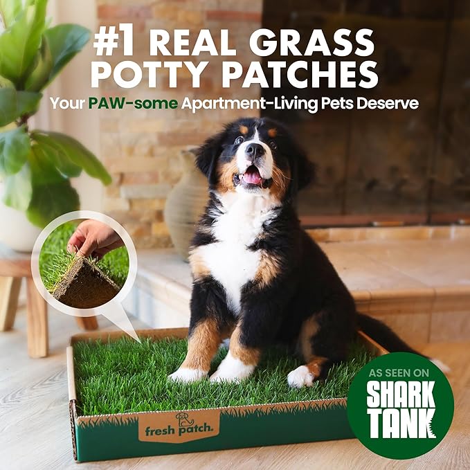 Fresh Patch Real Grass Patch for Dogs, Cats, and Small-Medium Pets Under 15 Pounds – Disposable Pet Grass Pee Pads – Indoor and Outdoor Potty Training Mat (16 Inches x 24 Inches)
