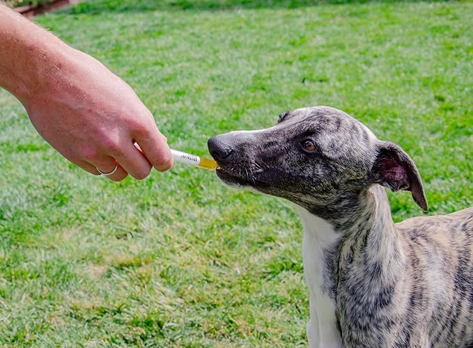 4CYTE™ Epiitalis® Forte Dog Gel (100ml/3.38 fl oz)