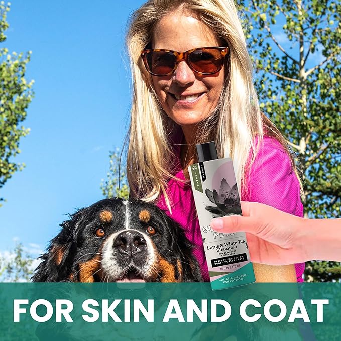 Holistic Natural Derived Lotus and White Tea Pet Shampoo: Veterinarian Recommended - Remove Dirt, Cleanse and Restore Your Dog, Cat or Horse Coat - Made in USA - 16 oz
