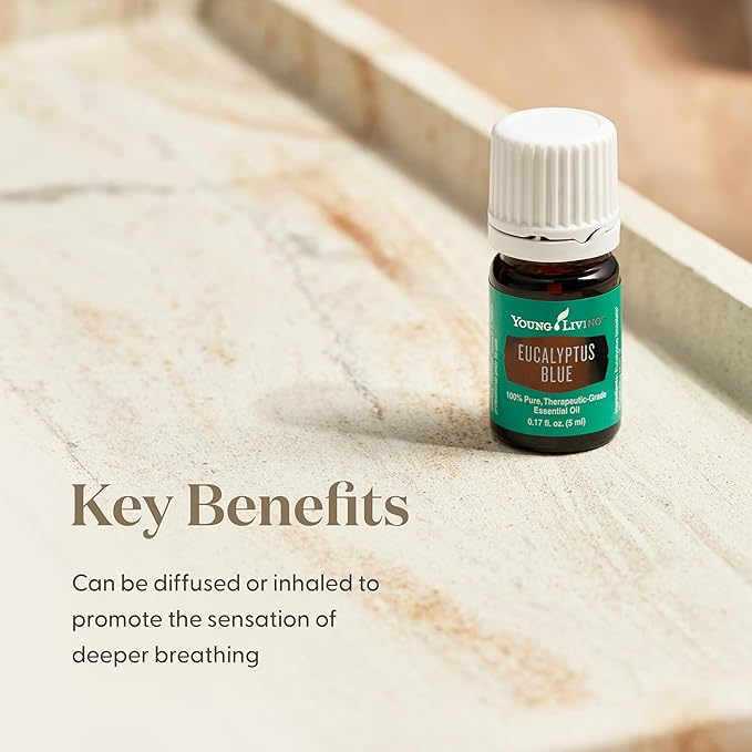 Young Living Eucalyptus Blue Essential Oil | 5 ml | Pure, Invigorating Botanical Extract | Crisp, Refreshing Aroma for Diffusers, Wellness, Comfort, and Soothing Aromatherapy Experience