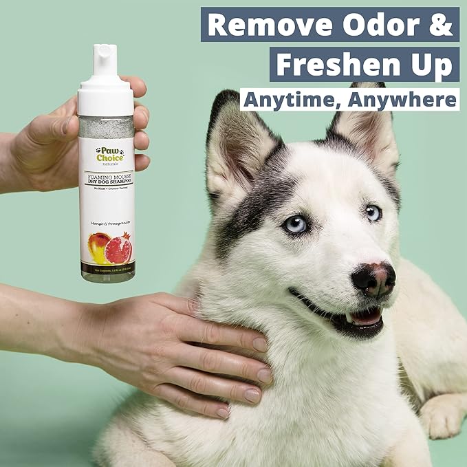 Paw Choice Dog Dry Shampoo - Hypoallergenic Waterless No Rinse Foam - Natural Coconut-Derived Cleanser - Quickly Deodorizes, Cleans & Conditions Between Baths - Made in USA - Mango Pomegranate