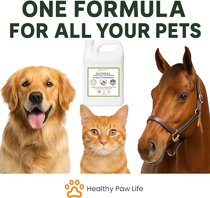 Healthy Paw Life Oatmeal Shampoo – Vet-Recommended Itch Relief for Dogs, Cats & Horses – Hypoallergenic, Moisturizing & Deodorizing – 1 Gallon – Made in USA