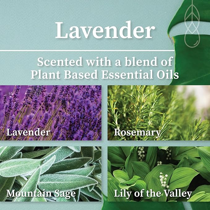 Hemlock Park Crackling Wood Wick Candle Handcrafted with Natural Coconut Wax (Large 16 oz, Lavender)