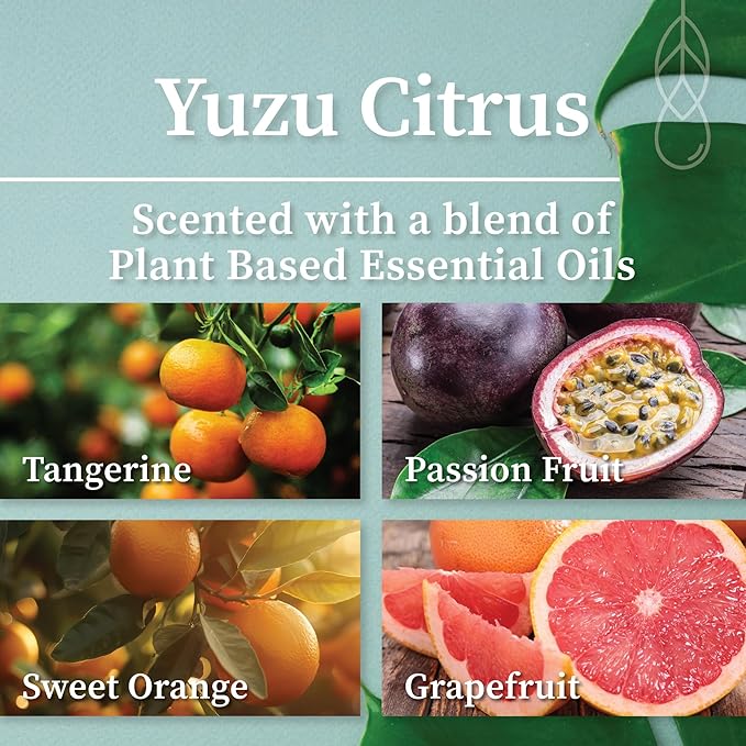 Hemlock Park Crackling Wood Wick Candle Handcrafted with Natural Coconut Wax (Large 16 oz, Yuzu Citrus)