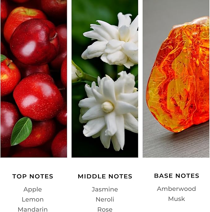 Brilliant Scents Diffuser Oil Refill, Inspired by Caesars Palace, Hotel Series Aroma Scents, Essential Oils Set for Home, Fragrance Oil for Candle Making, Home, 50 ML, Empire Oasis