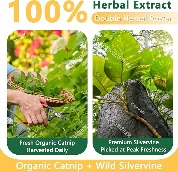 Organic Catnip & Silvervine Spray for Cats - 100% Natural Double Plant Power to Boost Play, Calm Stress & Renew Toys, Scratchers for Indoor Kittens (2 Fl Oz)