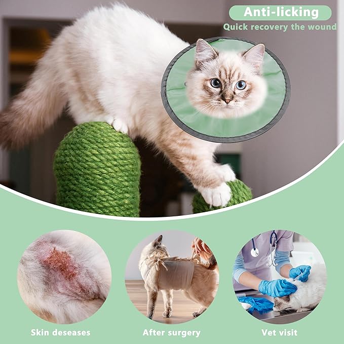 Lightweight Cat Cone Collar Soft, Soft Comfortable Cat Recovery Collar After Surgery, Elizabethan E Collar for Cats, Cone for Cats to Stop Licking (Mint Green, Small)