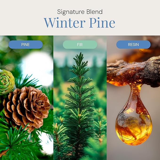 Winter Pine Aroma Oil, Christmas Essential Oil Blend for Diffusers & Scent Machines, Fresh Cut Pine & Fir Tree Fragrance, Cold-Air Diffuser Compatible, 100mL