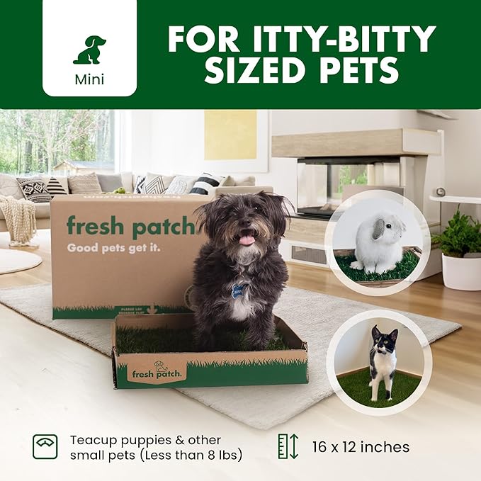 Fresh Patch Mini Real Grass Patch for Dogs, Cats, and Small Pets Under 8 Pounds – Disposable Pet Grass Pee Pads – Indoor and Outdoor Potty Training Mat (12 Inches x 16 Inches)