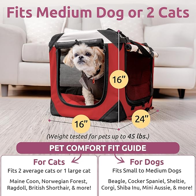 Soft-Sided Cat & Dog Pet Carrier, Large 24"x16"x16", Fits Large Cat, 2 Cats, or Medium Dog Comfortably, Great for Travel & Vet Visits, Privacy Windows, Removable Bed, Locking Zippers, Folds Flat