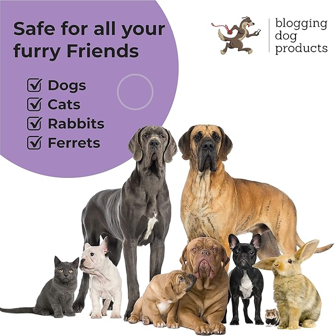 Dogs deodorizing spray - long-lasting dog cologne & pet odor eliminator - vanilla sweet pea scented pet perfume for smelly doggies - safe, refreshing grooming spray