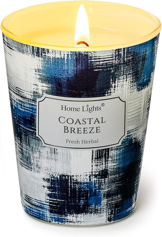 HomeLights Large jar Candle | 1-Wick Long-Lasting Scented Candles, 6.7oz Natural Soy Wax Candle for Home Scented, Scandinavian Minimalist Design Gifts for Women & Men, Coastal Breeze
