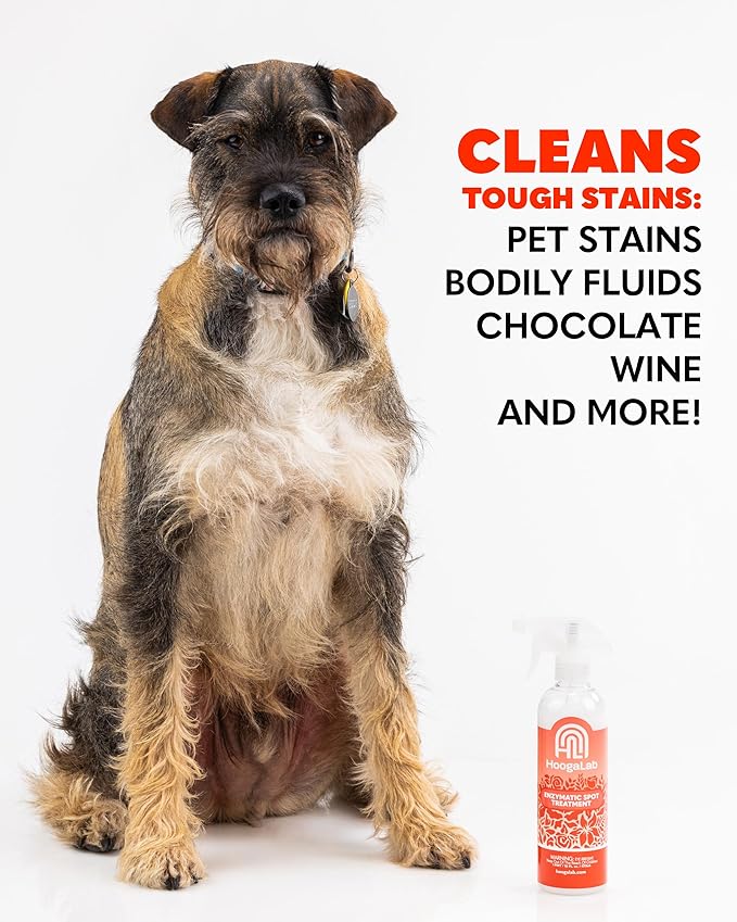 16oz Enzymatic Spot Treatment - Powerful Stain Remover for Tough Messes | Pet Cleaner, Elimate Organic Stains, Odors, and Residues From Carpet, Upholstery, and Fabrics! (2 pack)