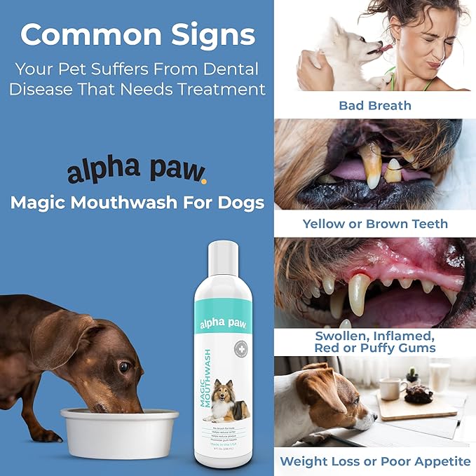 Alpha Paw Magic Mouthwash for Dogs, Natural Water Additive, Canine Breath Freshener, Dog Essentials for Plaque and Tartar Treatment, Made in The USA (8 oz)