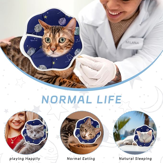 Soft Adjustable Cat Cone Collar - Comfortable Recovery Collar for Cats After Surgery (Blue, Medium)