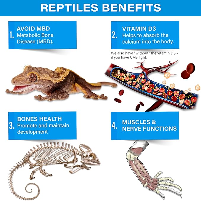 4oz All Reptile Calcium Powder, Phosphorus-Free Ultrafine Powder, Pure Dust Without Vitamin D3, Ready to Use for All Reptiles, Lizards & Amphibians Supplement. Made in The USA. Enjoy !