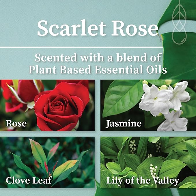 Hemlock Park Crackling Wood Wick Candle Handcrafted with Natural Coconut Wax (Standard 8 oz, Scarlet Rose)