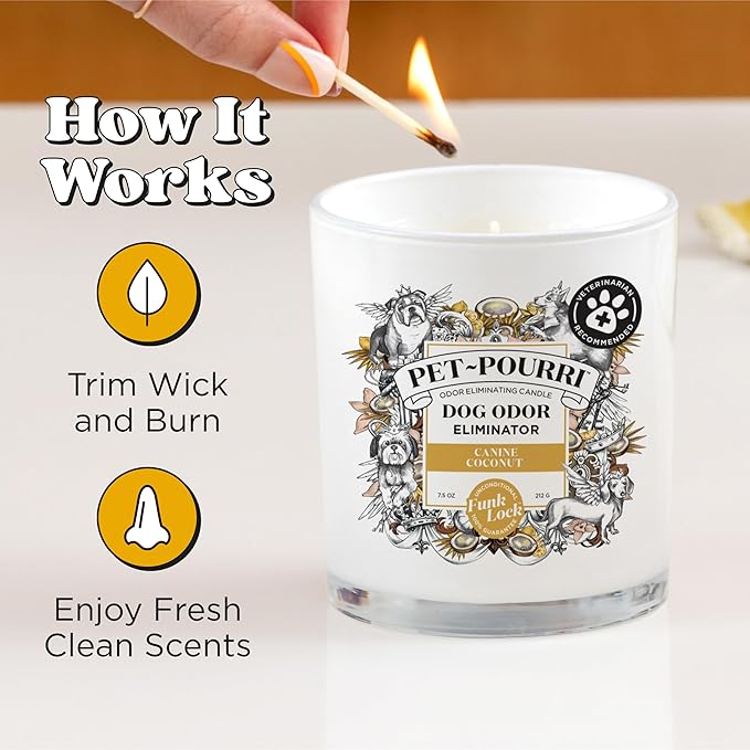 Pet-Pourri Canine Coconut Dog Deodorizer Candle – Puppy & Dog Safe – Plant Based Ingredients & Wax – Vet Approved – Aromatherapy & Air Freshener for Pet Odor – Scented with Bamboo, Jasmine & Pear