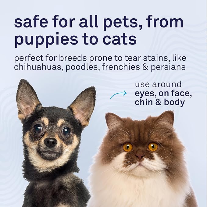 Petpost Tear Stain Remover Comb for Dogs | Extra Fine Stainless Steel Dog Eye Comb | Gentle Grooming Tool for Shih Tzu, Maltese & Small Breeds | Dog Face Comb for Eye Cleaning