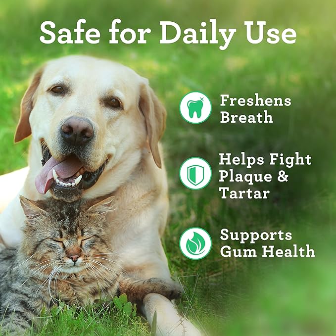 VetPro Complete Dr. Joseph's Advanced Dog Dental Wipes, 50 Count, Easy Teeth Cleaner for Dogs and Cats with Peppermint and Spearmint, Freshens Breath, Reduces Tartar