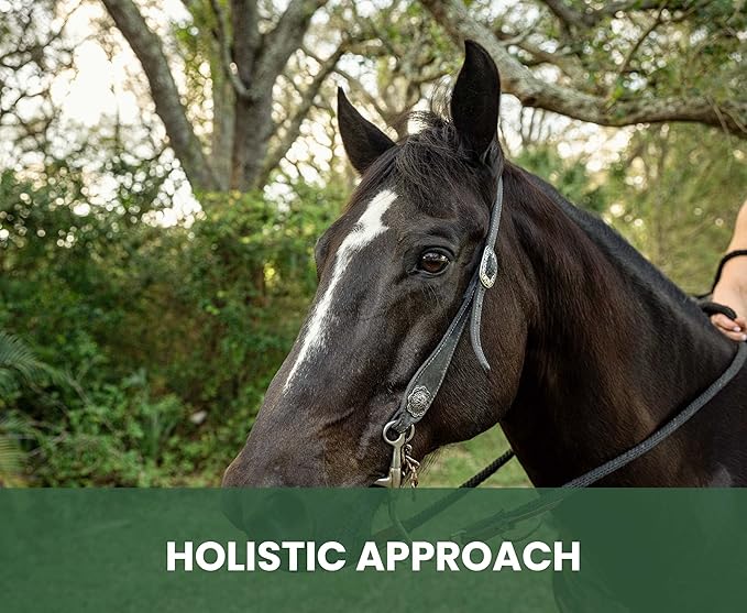 Holistic Natural Anti-Fungal Shampoo for Dogs, Cats & Horses: Veterinarian Recommended: Relieve Itching & Flaking Skin Caused by Fungal Infections & Skin Conditions - Made in USA - 16 oz