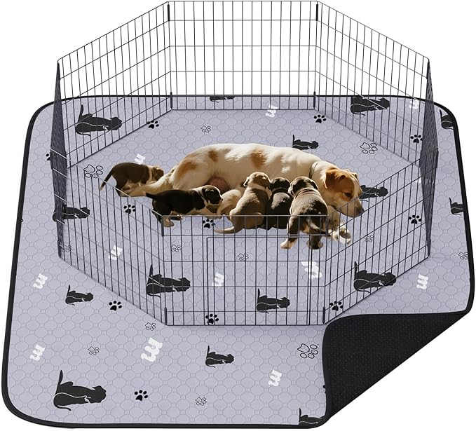 JollyMate 63"x63" Washable Pee Pad for Dogs, Ultra-Absorbent and Leak-Proof Whelping Pad, Non-Slip Reusable Puppy Pad, Waterproof Dog Pee Pad, 1 Pack
