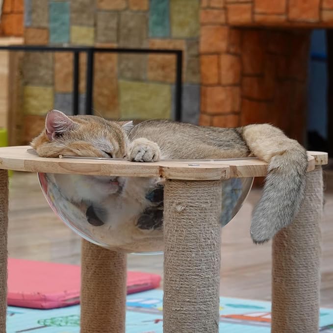 12.6" Acrylic Dome Clear Plastic Pet Cat Bubble Window Capsule Space Cover, Transparent Furniture Replacement for Nest Bed Hammock Catching Tree Shelves Window Perch Accessories, Cat Tree Not Included