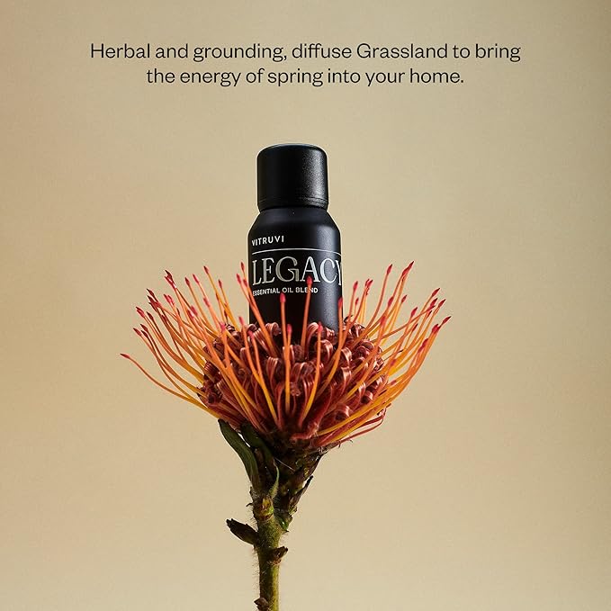 Vitruvi Legacy Woodsy Essential Oil Blend with Rose, Bergamot, Frankincense, Cedarwood