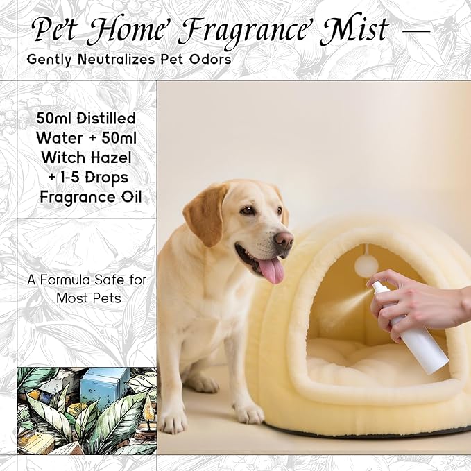 HIQILI Green Tea Fragrance Oil for Candle & Soap Making, Refreshing Scents, for Home Diffusers, Laundry Dryer Balls - 1 Fl Oz