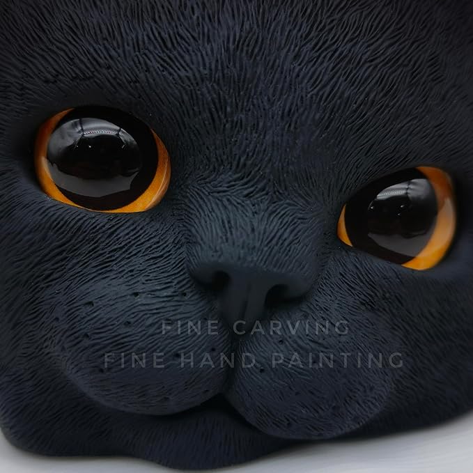 Cat Keepsake Box Memory Decorative Box Cat Portrait Gifts For Pet Owners And Pet Lovers Holds Jewelry Cat's Whiskers Fur and as a Memory Box (Black Cat)