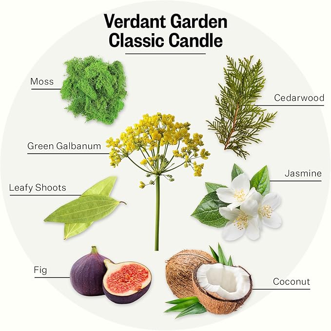 Apotheke Signature Scented Candles for Home, Verdant Garden - 10.5 oz - Soy Wax, Non Toxic, Large Jar White - Luxury Candle Gifts for Women & Men - Cedarwood, Jasmine, Fig, and Coconut