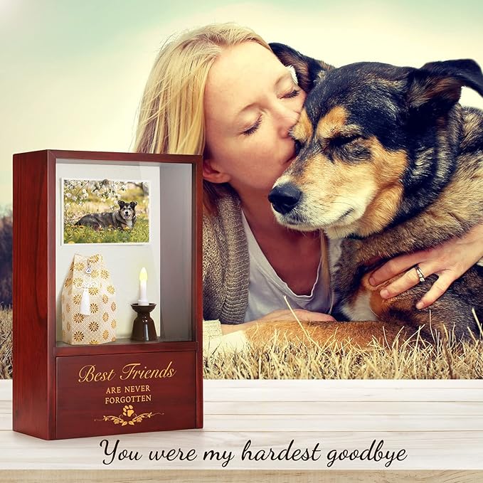 TJ.MOREE Dog Urns for Ashes - Memorial Display Case, Pet Sympathy Gifts - Best Friends Never Forgotten