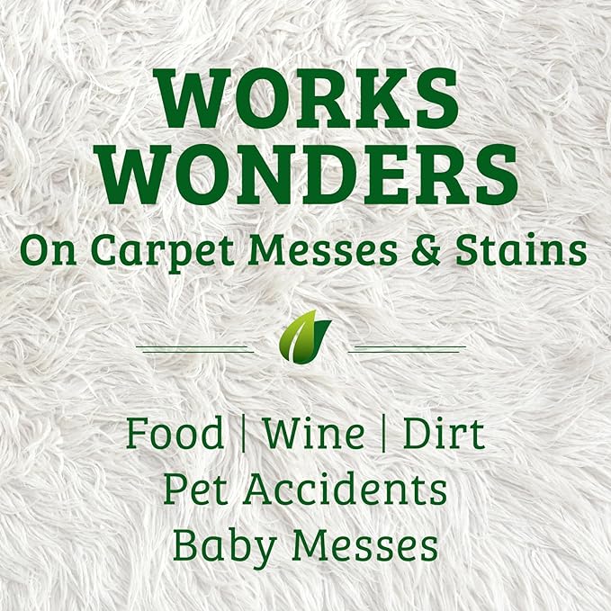 Biokleen Bac-Out Carpet Stain Remover Enzymatic, Destroys Stains & Odors Safely, for Pet Urine, Laundry, Diapers, Wine, Carpets, More, Eco-Friendly, Plant-Based