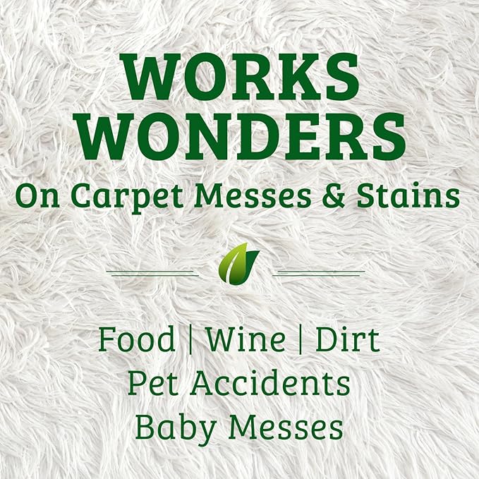 Biokleen Bac-Out Enzyme Stain Remover - 32 Ounce - Natural Foam Spray, Destroys Stains & Odors Safely, for Pet Stains, Laundry, Diapers, Wine, Carpets, Eco-Friendly, Non-Toxic, Plant-Based