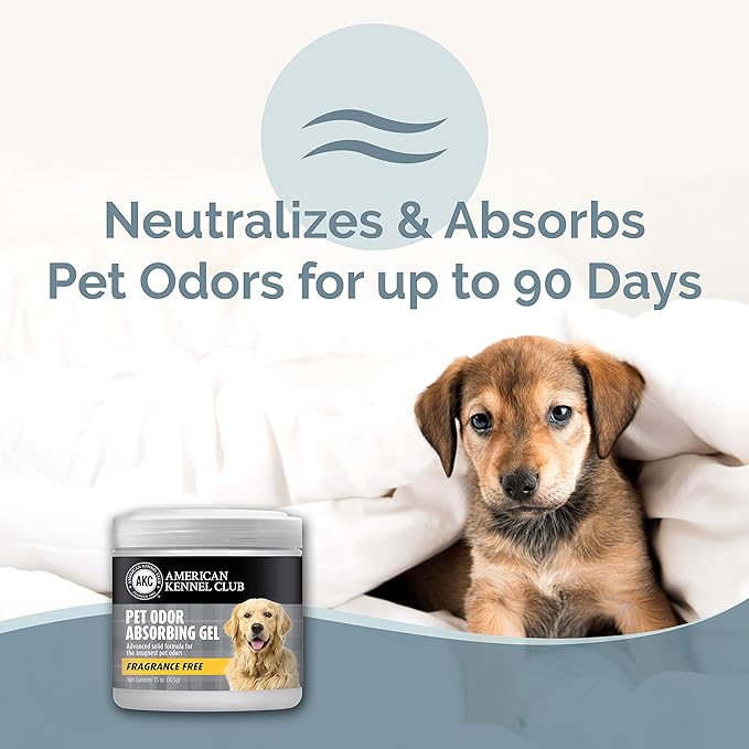 AMERICAN KENNEL CLUB SMELLS BEGONE Pet Odor Absorber Gel - Air Freshener & Odor Eliminator - Fragrance Free - 15 Ounce - 2 Pack