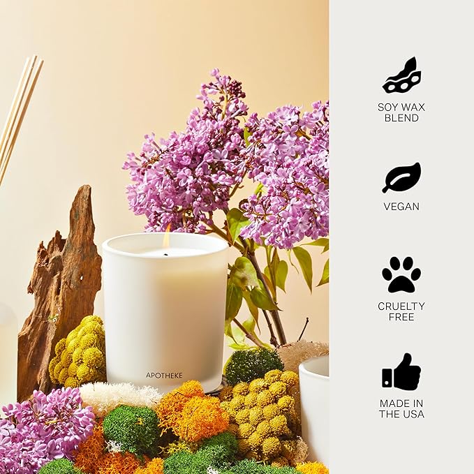 Apotheke Signature Scented Candles for Home, White Vetiver - 10.5 oz - Soy Wax, Non Toxic, Large Jar White - Luxury Candle Gifts for Women & Men - Sandalwood, Eucalyptus, and Vetiver