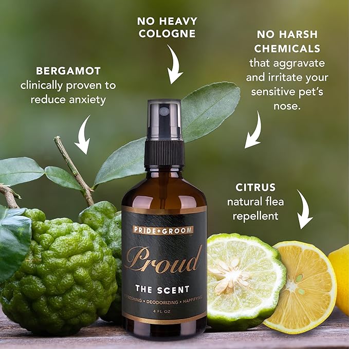 Pride and Groom Proud – Long Lasting Luxurious Dog Grooming Spray & Pet Deodorizer with Uniquely Uplifting, Fresh and Clean Signature Scent, Safe for Sensitive Skin & Noses – 4 fl oz