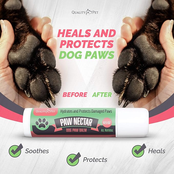 Natural Lick Safe Dog Paw Balm Jumbo 0.5oz - 100% Organic Dog Paw Pad Balm Protector, Moisturizer & Soother for Dry Cracked Paws, Hot Pavement - Heals, Repairs & Restores - Coconut Oil, Shea Butter