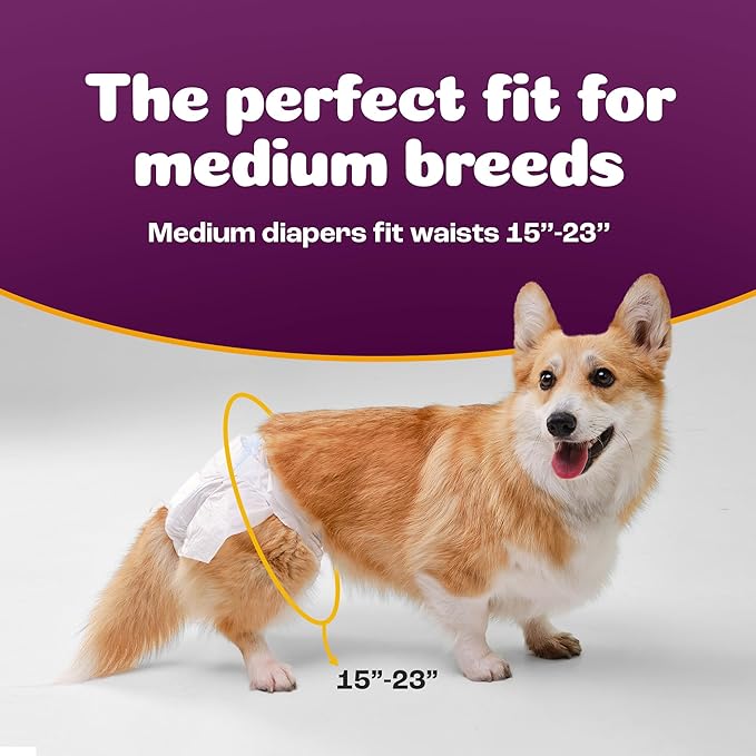 Inspire Pet Care Dog Diapers Female Dogs | Bulk Value Doggie Incontinence, Accidents, for Heat, Pee or Period and Housebreaking (Medium (96 Count))