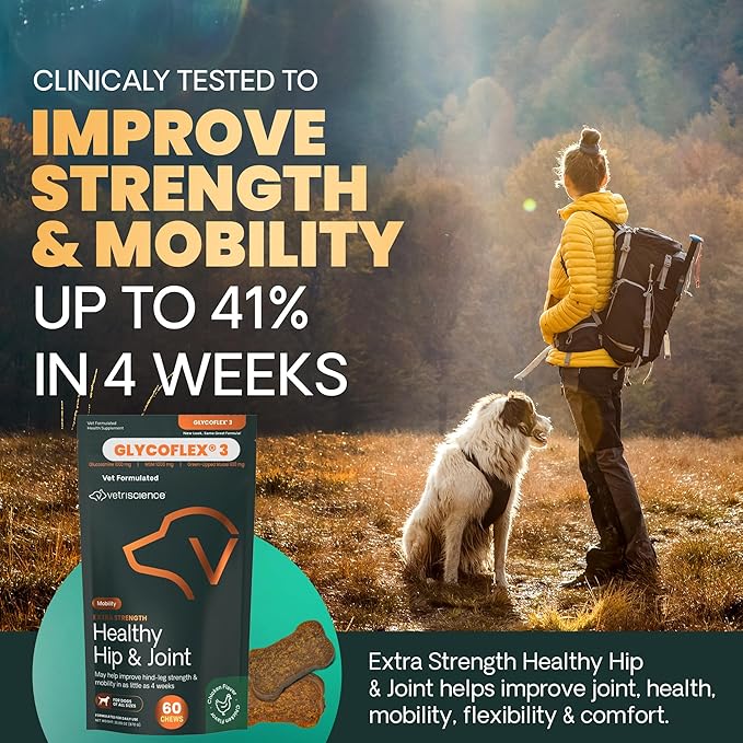 VetriScience Extra Strength Healthy Hip & Joint Chews, GlycoFlex Glucosamine and Green-Lipped Mussel Joint Support Supplement for Small Breed Dogs, Soothe Joint Discomfort, Chicken, 60 Count