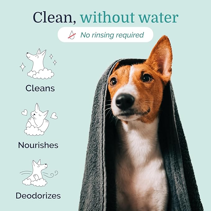 Hepper Waterless No Rinse Dry Shampoo for Dogs, Cats, and Other Pets. Dry Shampoo Foam in Only One Pump. No Rinse, No Bath, No Fuss —Just Brush. Dog/Cat Wash for The Difficult Dirty Pet