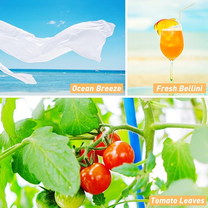 ESSLUX Summer Fragrance Oil Set, Soap Candle Making Scents, Essential Oils for Diffusers for Home, 6x10ml, Brisk Summer, Ocean Breeze, Tropical Fruits and More