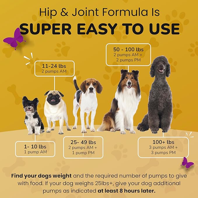 Hip and Joint Supplement for Dogs - Glucosamine Chondroitin for Dogs - Extend Joint Care, Flexibility Support & Bone Strength - With MSM, Hyaluronic Acid, Vitamin B12, B6, B1 & More - 16 Fl Oz