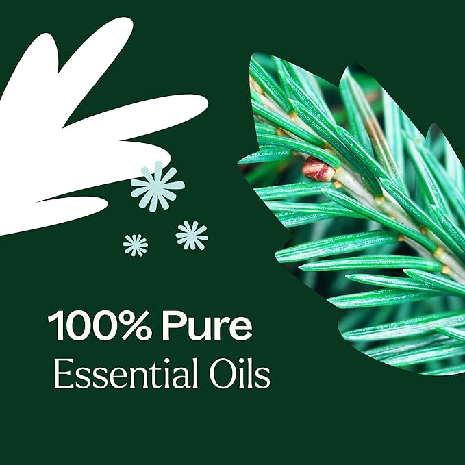 Plant Therapy Christmas Tree Holiday Essential Oil Blend 10 mL (1/3 oz) Crisp & Refreshing, Traditional Holiday Scent, Supports a Healthy Respiratory System