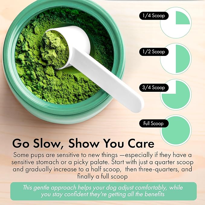 Dog Dental Powder – Dog Breath Freshener – Plaque Off and Tartar Remover for Dogs, Bad Breath Treatment, Natural Tooth Cleaning Powder for Dogs of All Breeds and Sizes – Oral Care Supplement for Pets